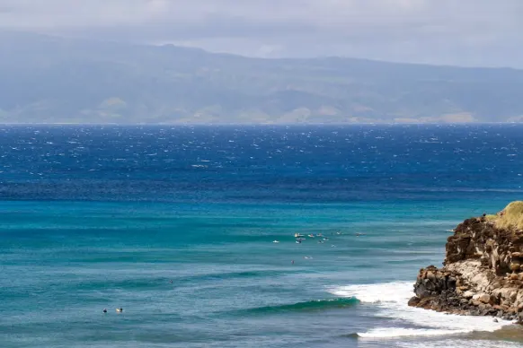 Casino Two Fat Ladies Bingo Kundeservice